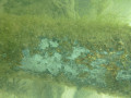 P04 P1060877