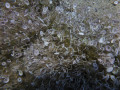P1050501